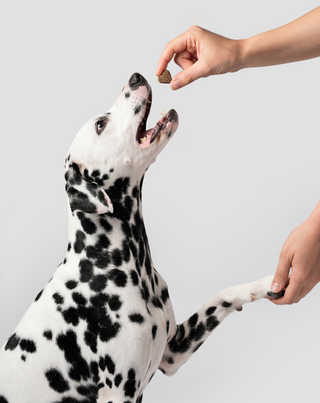 Fur & Skin tilskudsfoder til hunde for smuk pels og sund hud Oggo 180 g - 6