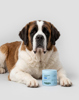 Joint & Bone Support tilskudsfoder til hunde til led og knogler Oggo 180 g - 3