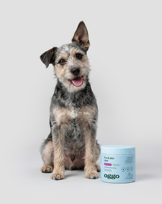 Fur & Skin tilskudsfoder til hunde for smuk pels og sund hud Oggo 180 g - 2