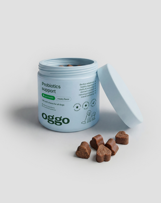 Probiotika til hunde tilskudsfoder til hunde til fordøjelse, mave-tarm-system og immunforsvar Oggo 180 g - 4