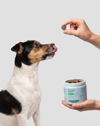 Probiotika til hunde tilskudsfoder til hunde til fordøjelse, mave-tarm-system og immunforsvar Oggo 180 g - 2