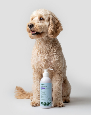 Lakseolie 100% tilskudsfoder til hunde for immunitet og energi Oggo 250 ml - 2