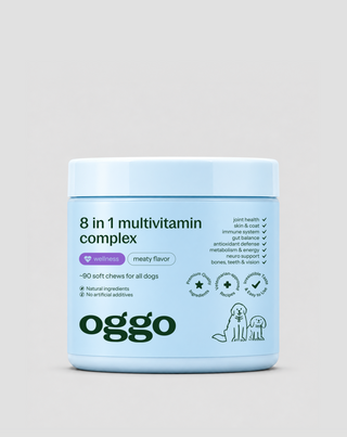Multivitamin til hund 8 i 1 til immunforsvar, pels og vitalitet Oggo 180 g - 1