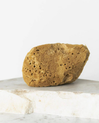 Naturlig havsvamp brun 9,5 cm 02F allergivenlig og antibakteriel Hhuumm - 2