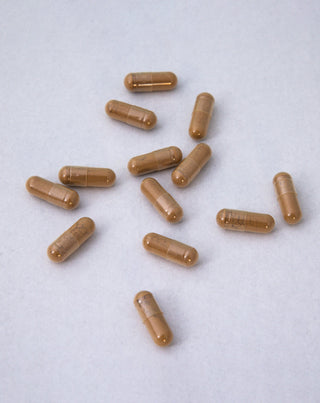 Ginkgo Biloba bladekstrakt Nutridome 60 stk. - 2